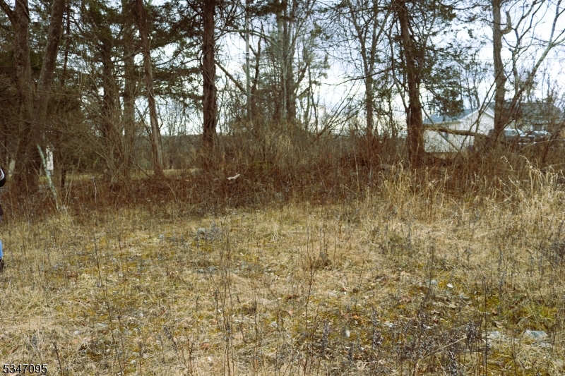 135 North Locust Lake Road Blairstown, NJ 07825 - Photo 15 of 15