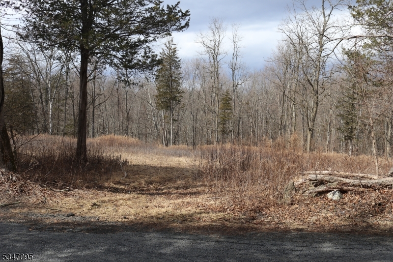 135 North Locust Lake Road Blairstown, NJ 07825 - Photo 2 of 15