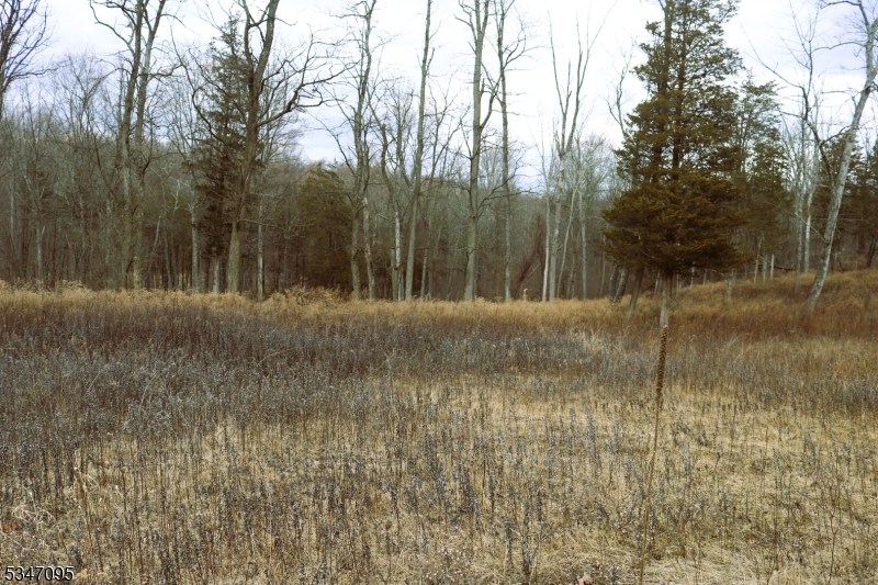 135 North Locust Lake Road Blairstown, NJ 07825 - Photo 3 of 15