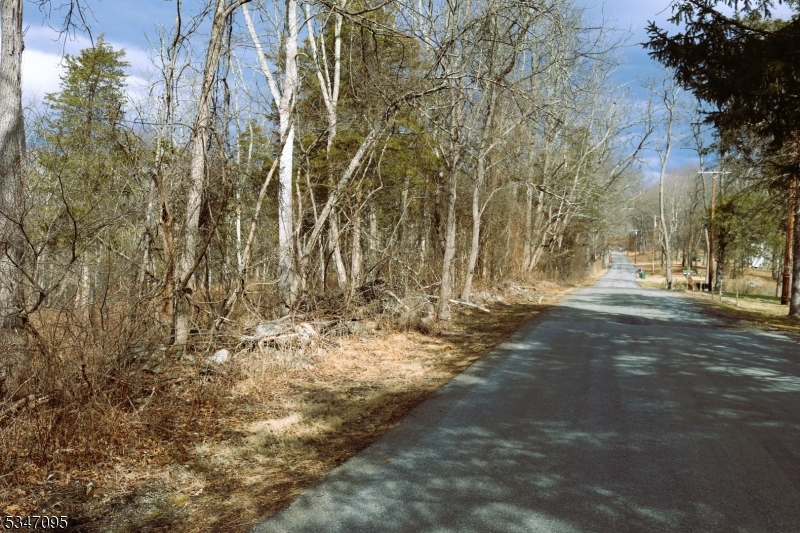 135 North Locust Lake Road Blairstown, NJ 07825 - Photo 5 of 15