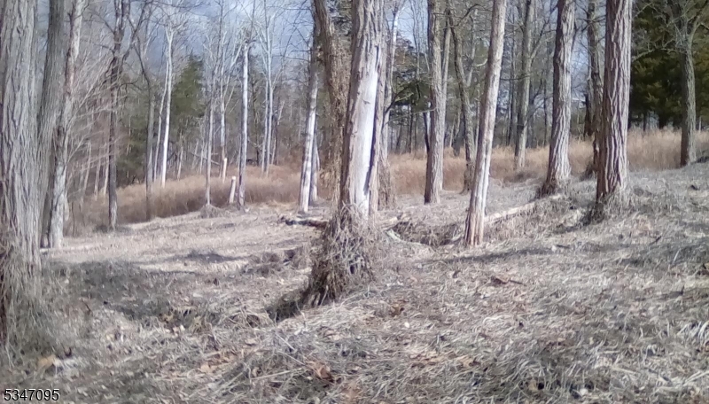 135 North Locust Lake Road Blairstown, NJ 07825 - Photo 7 of 15