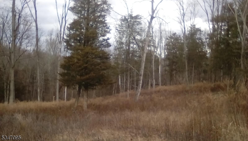 135 North Locust Lake Road Blairstown, NJ 07825 - Photo 8 of 15