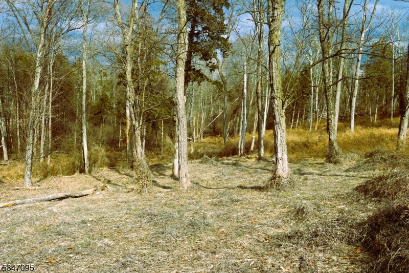 135 North Locust Lake Road Blairstown, NJ 07825 - Photo 10 of 15