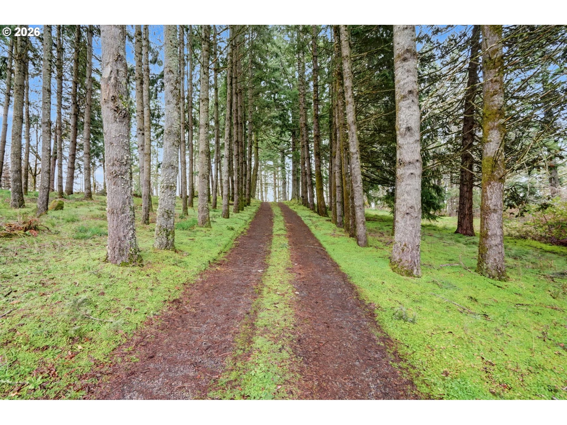 6683 Indian Springs Road Scotts Mills, OR 97375 - Photo 36 of 43