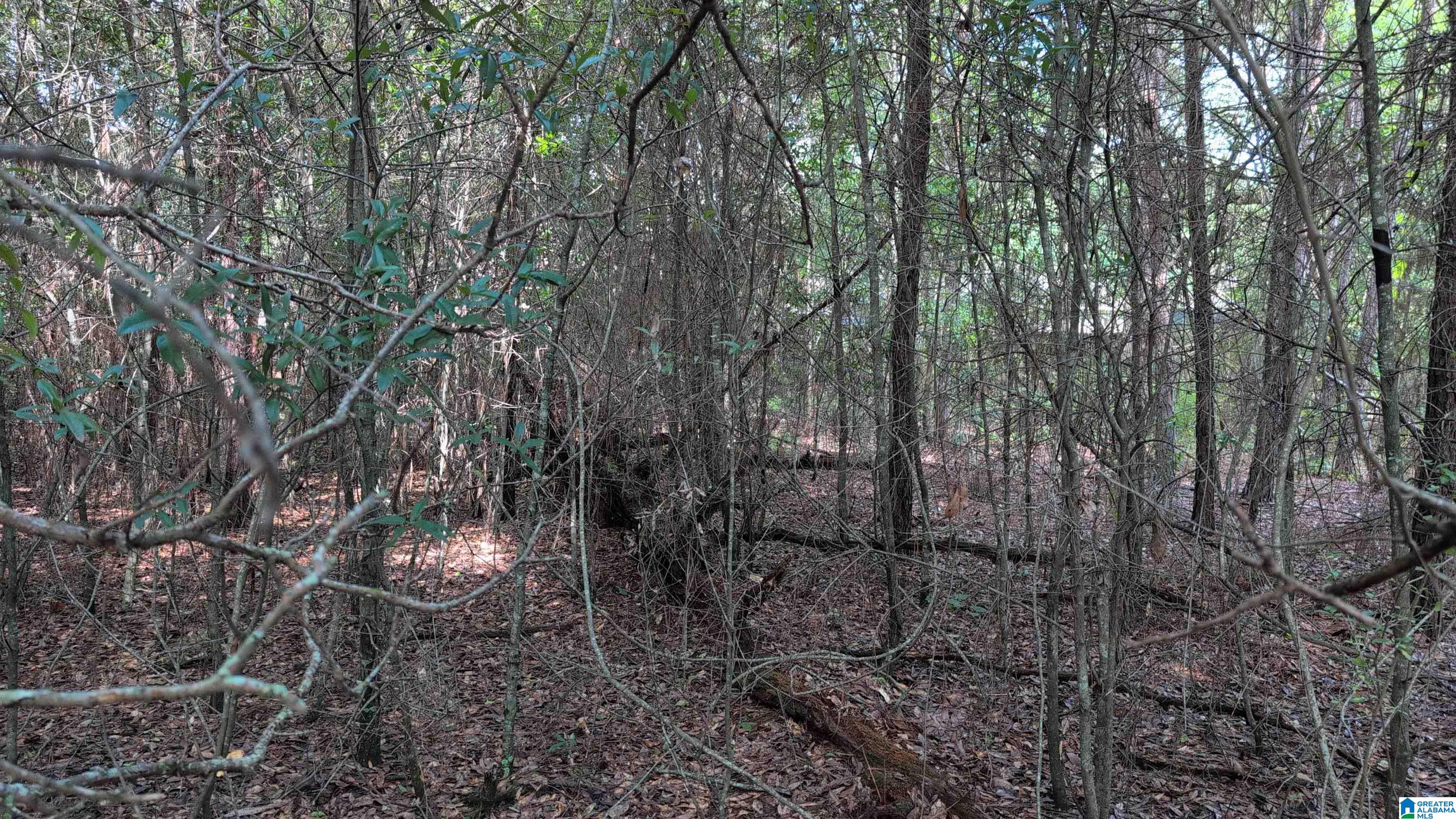 1 Ac /- Coosada Road, Unit 1 Millbrook, AL 36054 - Photo 5 of 11