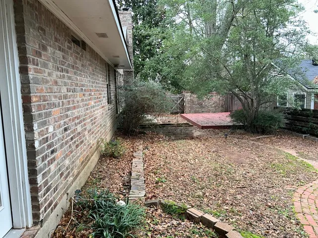 a view of a backyard with potted plants and large trees