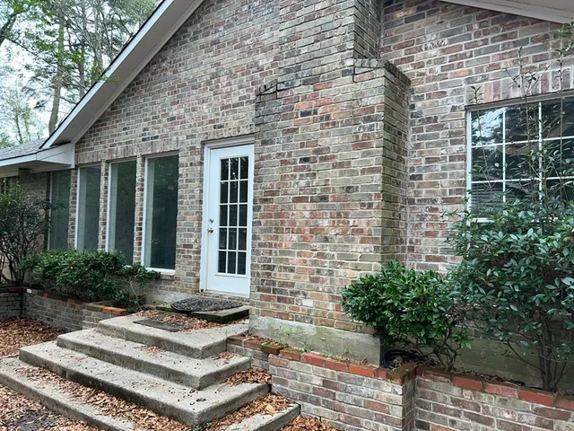 a view of a white house with plants and windows
