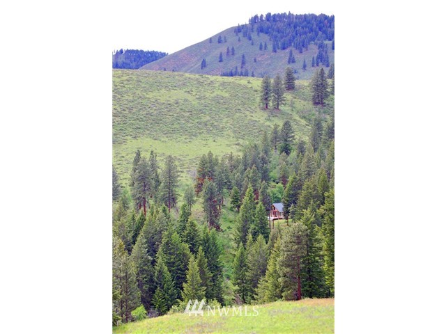 119 D Cub Creek Road Winthrop, WA 98862 - Photo 1 of 11 Gallery Image 1
