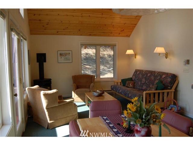 119 D Cub Creek Road Winthrop, WA 98862 - Photo 4 of 11 Gallery Image 4