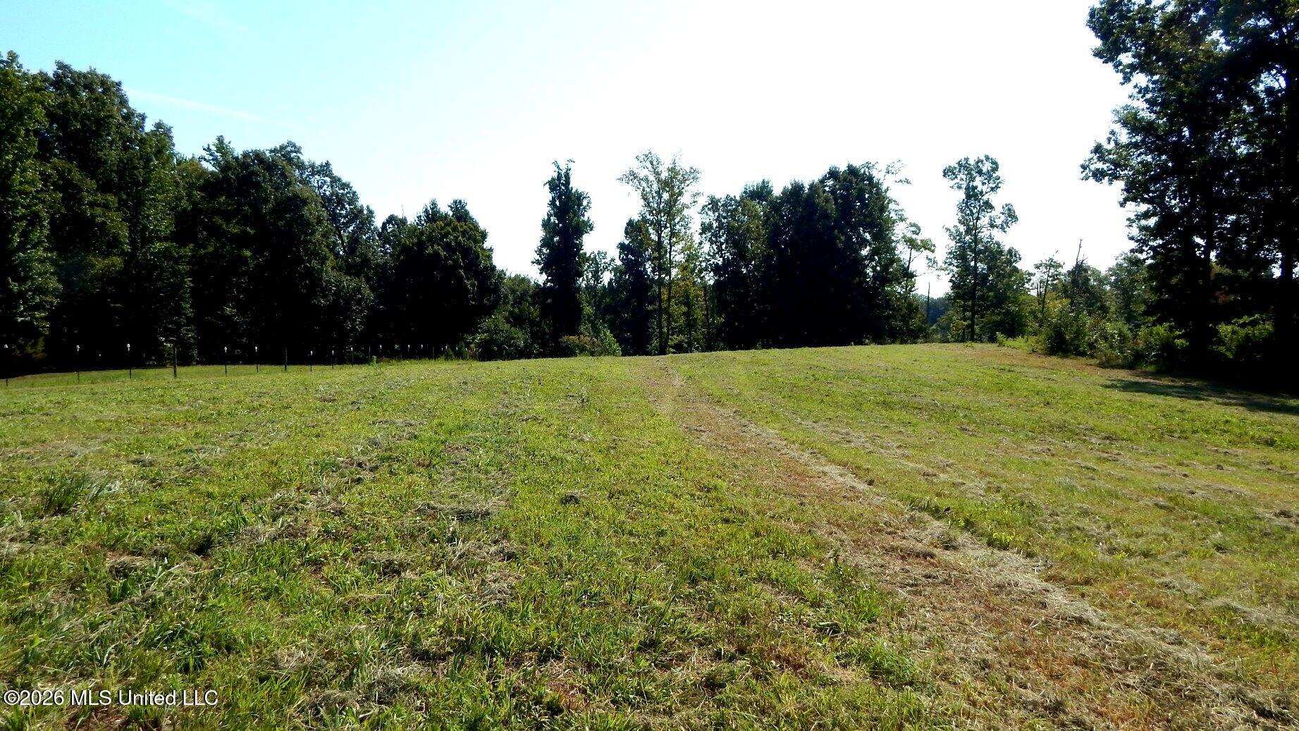 400 Arkabutla Dam Road Coldwater, MS 38618 - Photo 12 of 15 DSCN7567