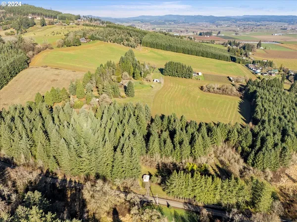 a view of a lake with a mountain