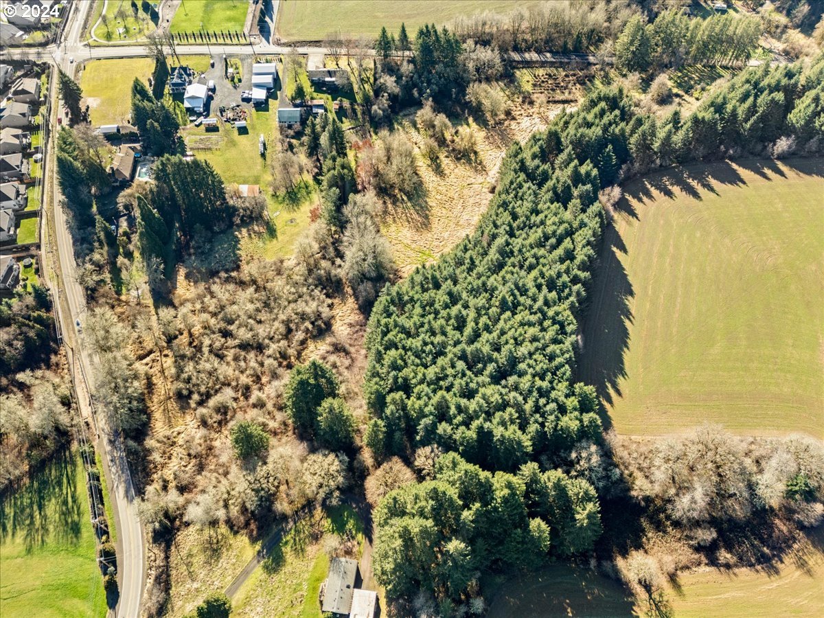 44725 Northwest David Hill Road Forest Grove, OR 97116 - Photo 11 of 14 a view of outdoor space with lots of trees