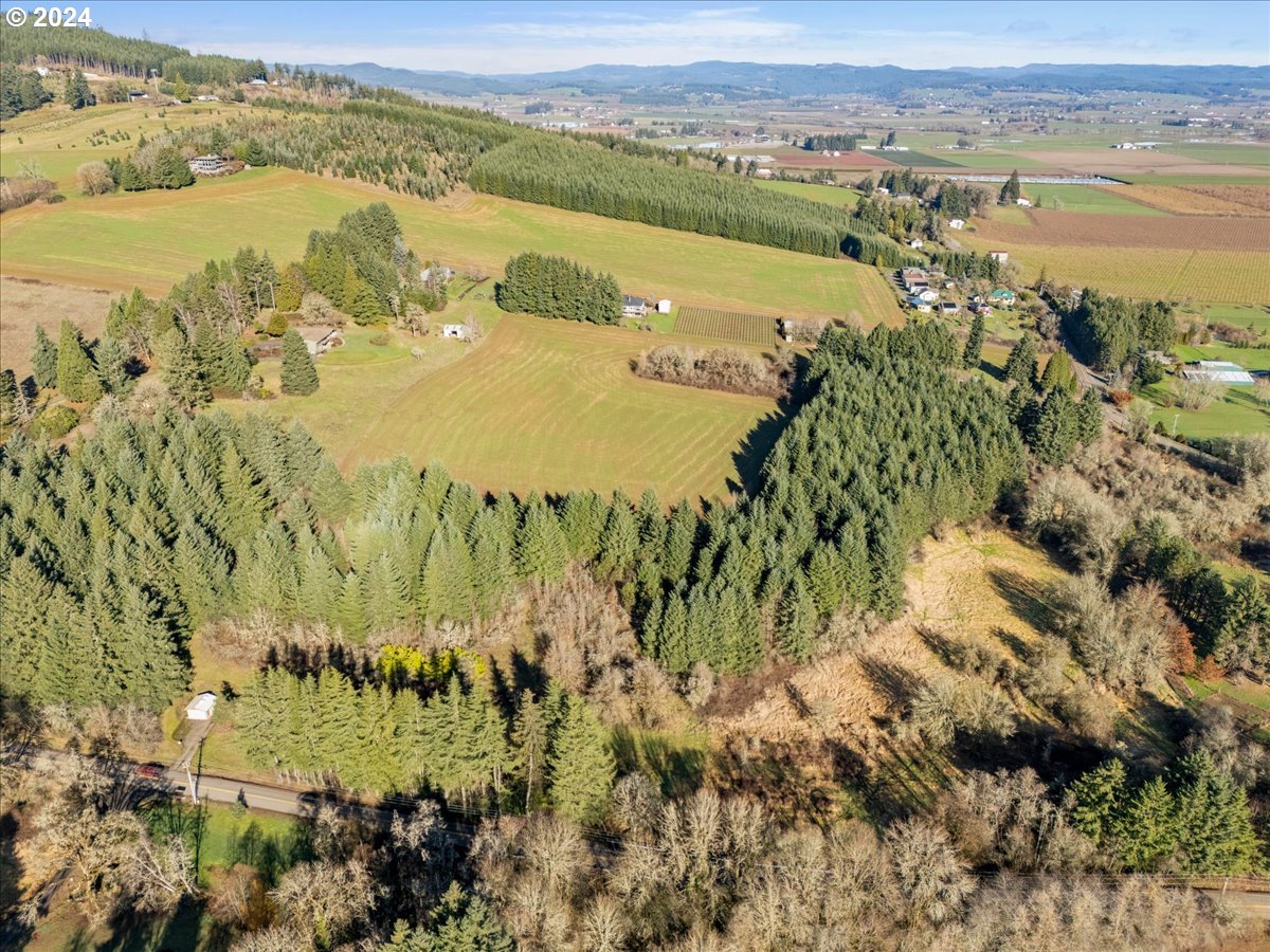 44725 Northwest David Hill Road Forest Grove, OR 97116 - Photo 2 of 14 a view of a lake with a mountain in the background