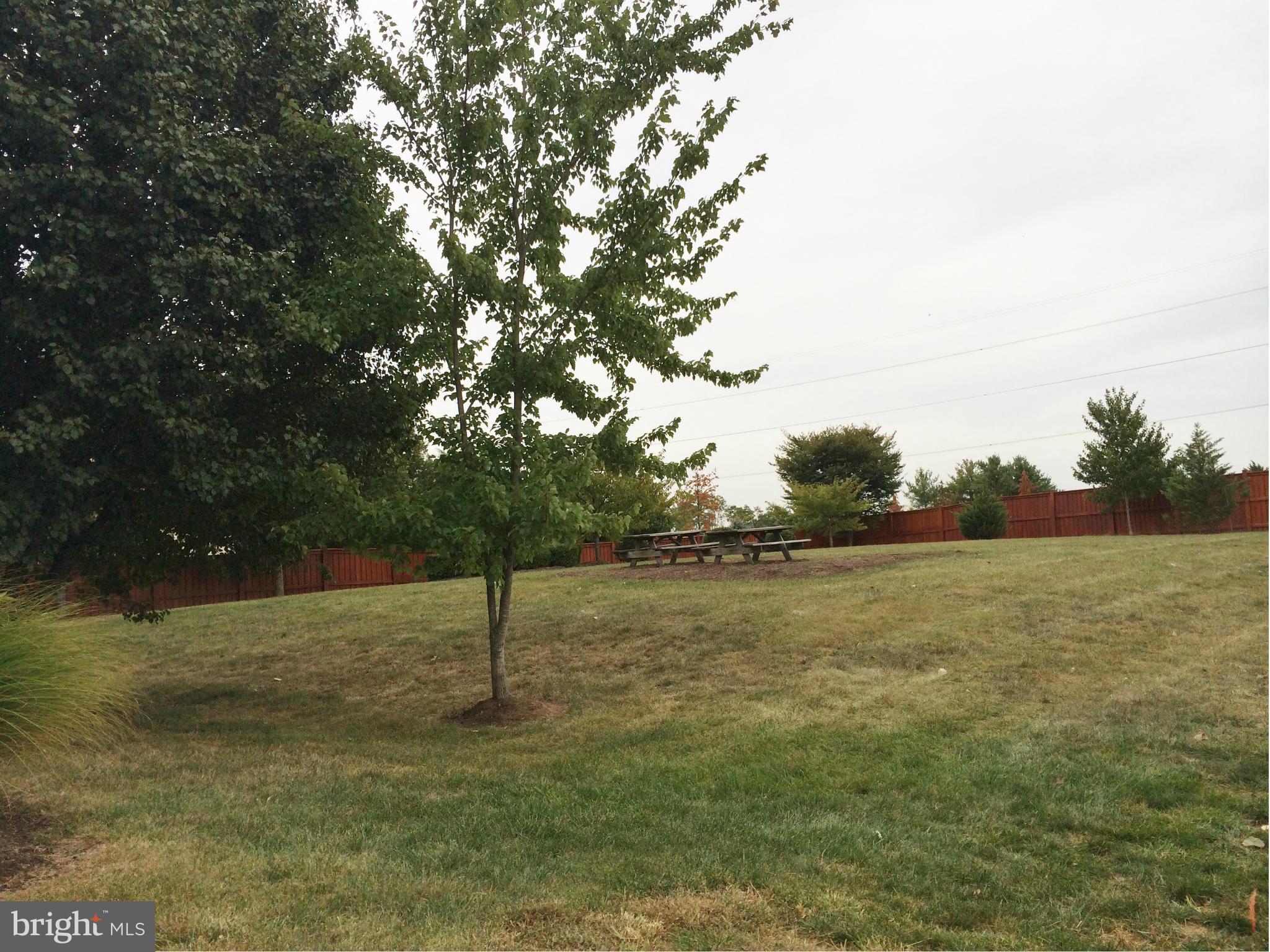 635 Constellation Square Southeast, Unit E Leesburg, VA 20175 - Photo 2 of 20 a backyard of a house with lots of green space