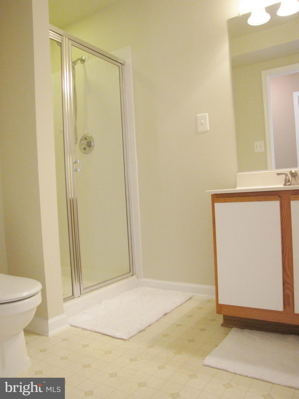 635 Constellation Square Southeast, Unit E Leesburg, VA 20175 - Photo 14 of 20 a bathroom with a sink and a toilet