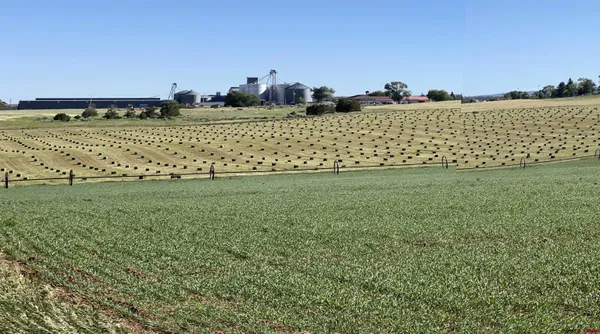 a view of a lush green outdoor space with a swimming pool and valleys in the background