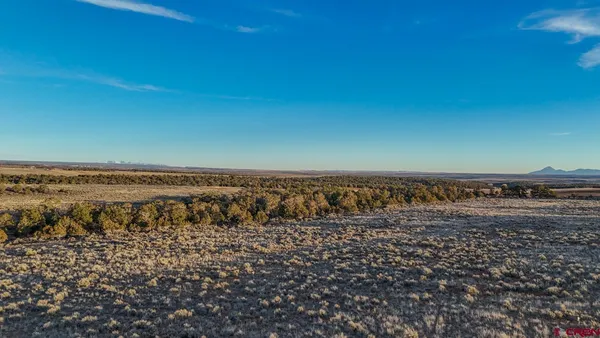 a view of an ocean and beach