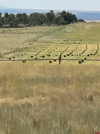 a view of a lake view