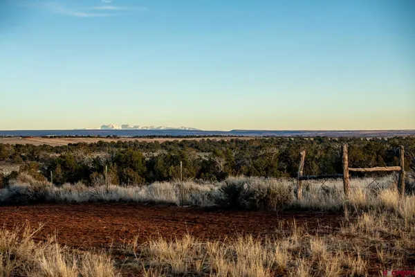 a view of an ocean beach