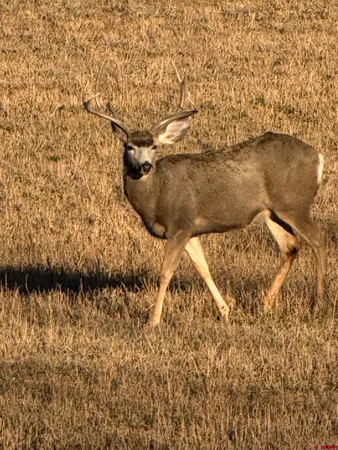 a view of wooden floor