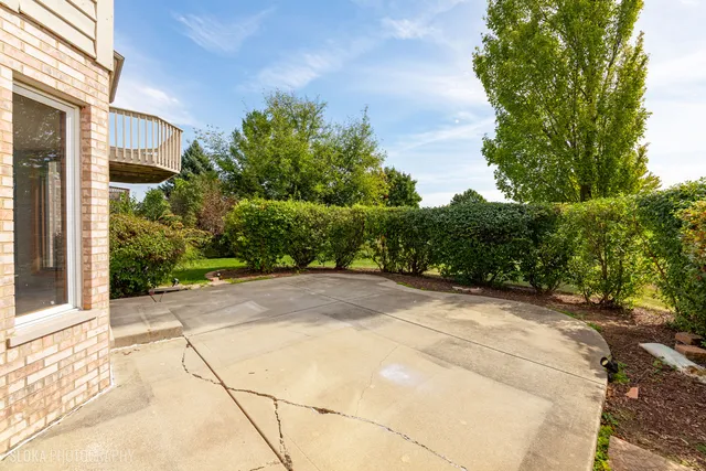 a view of a garden with pathway