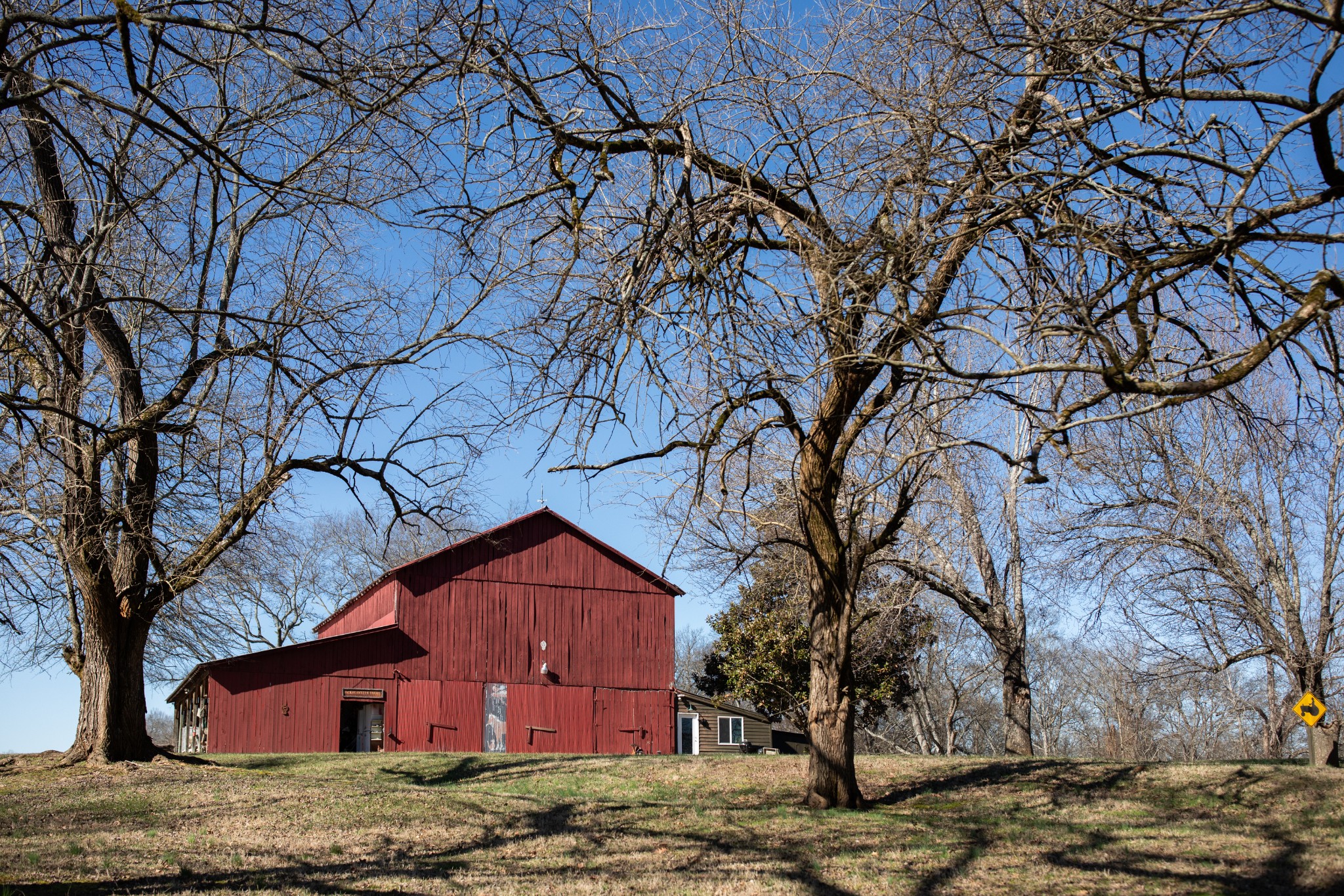 1611 South Cross Bridges Road Mount Pleasant, TN 38474 - Photo 8 of 64 Gallery Image 8