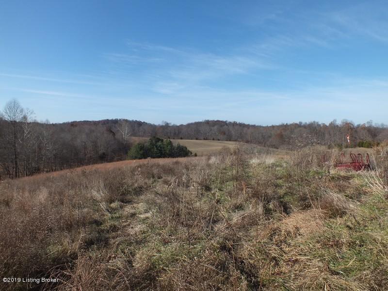 148 Turci Nevins Road Caneyville, KY 42721 - Photo 22 of 26 148 Turci Nevins Rd23