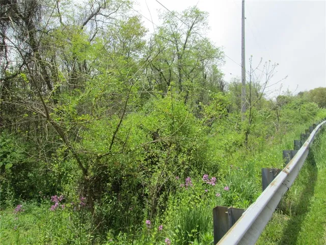 a view of a forest from a balcony