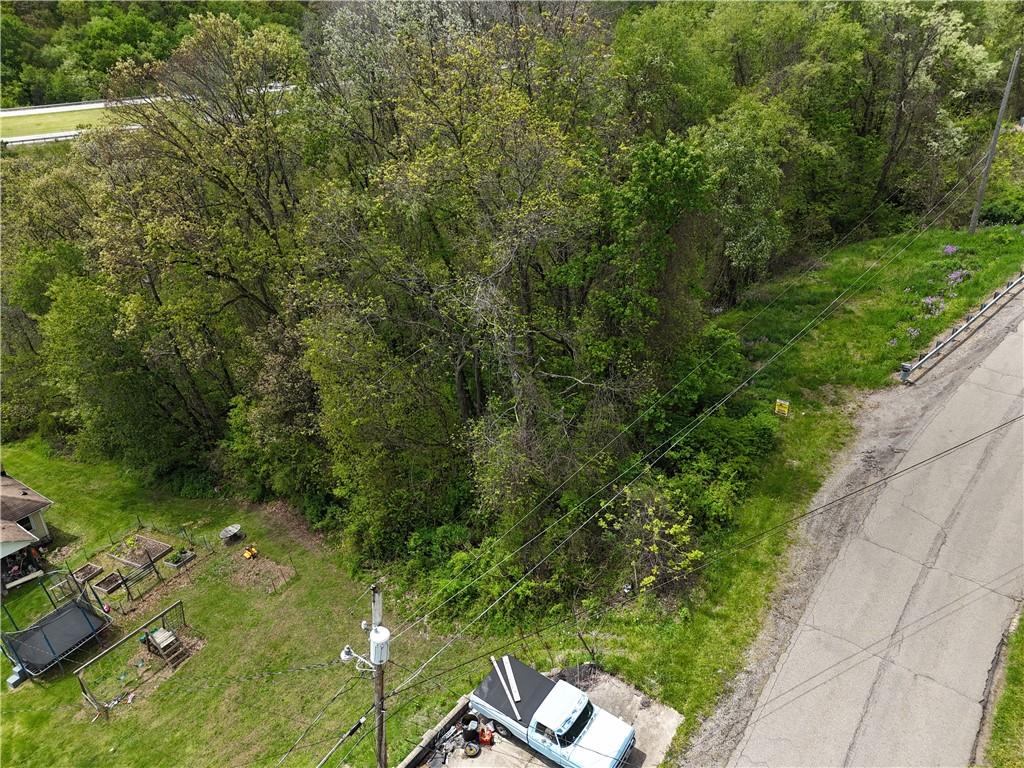 208 Briar Hill Road Kittanning, PA 16201 - Photo 8 of 9 a view of a garden with plants