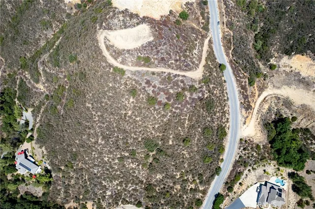 a close up of a tree