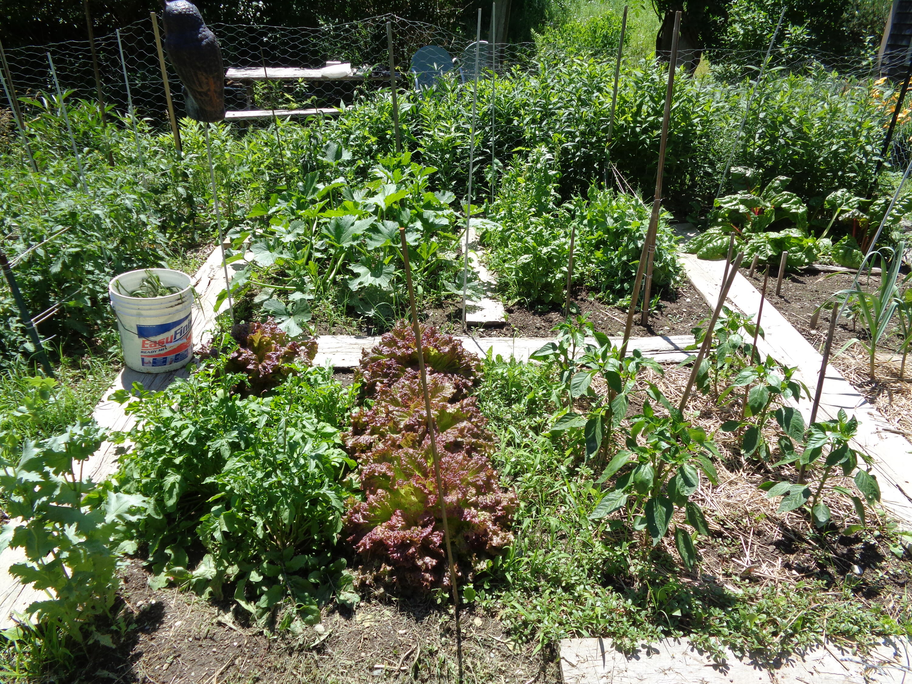 1181 Happytown Road Ellsworth, ME 04605 - Photo 40 of 56 Gardens