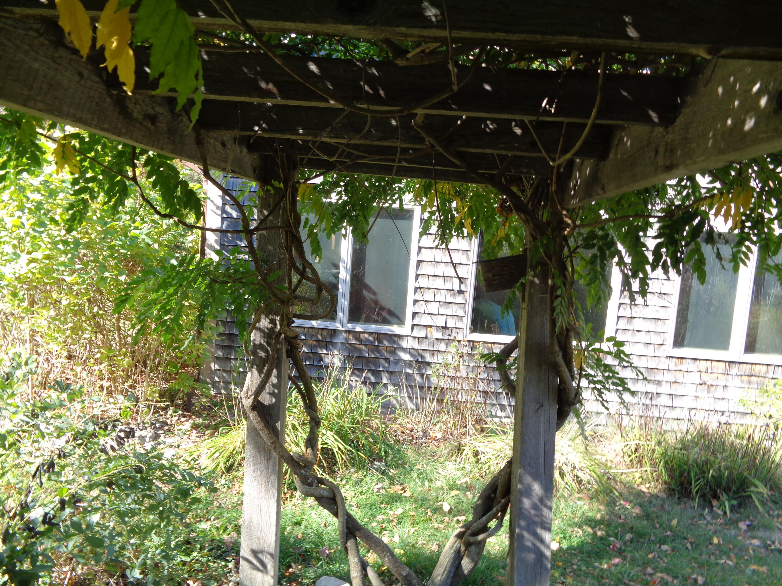 1181 Happytown Road Ellsworth, ME 04605 - Photo 48 of 56 Wisteria Arbor