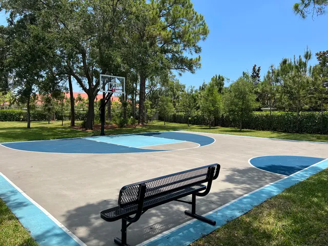 a view of a park with large trees