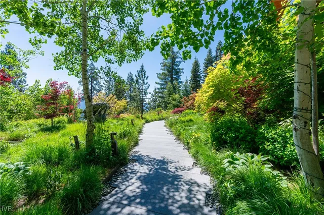 a view of a pathway both side of yard