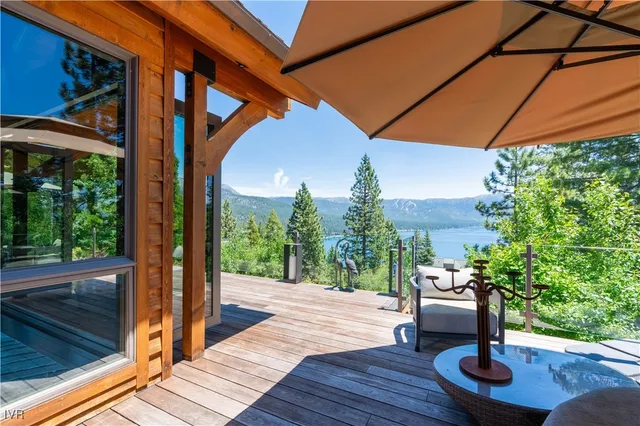 a wooden floor with a tree in the background