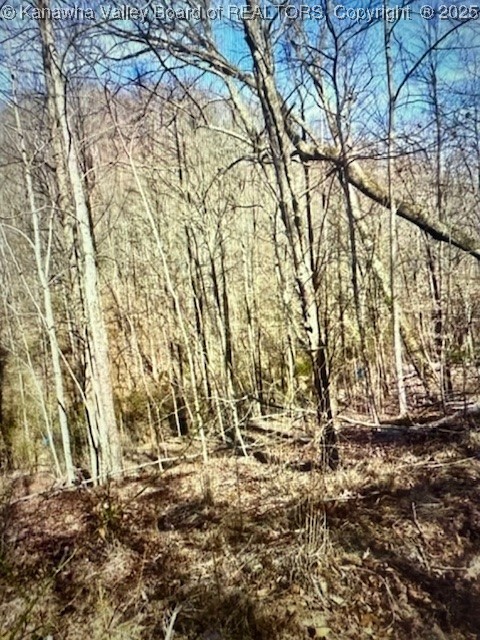 0 Utah Hollow Road Charleston, WV 25312 - Photo 13 of 39 Gallery Image 13