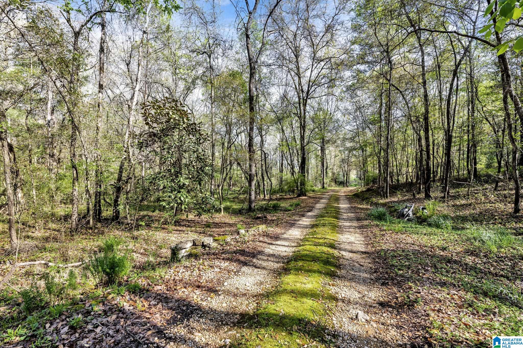 358 Cornelia Road Brierfield, AL 35035 - Photo 45 of 62