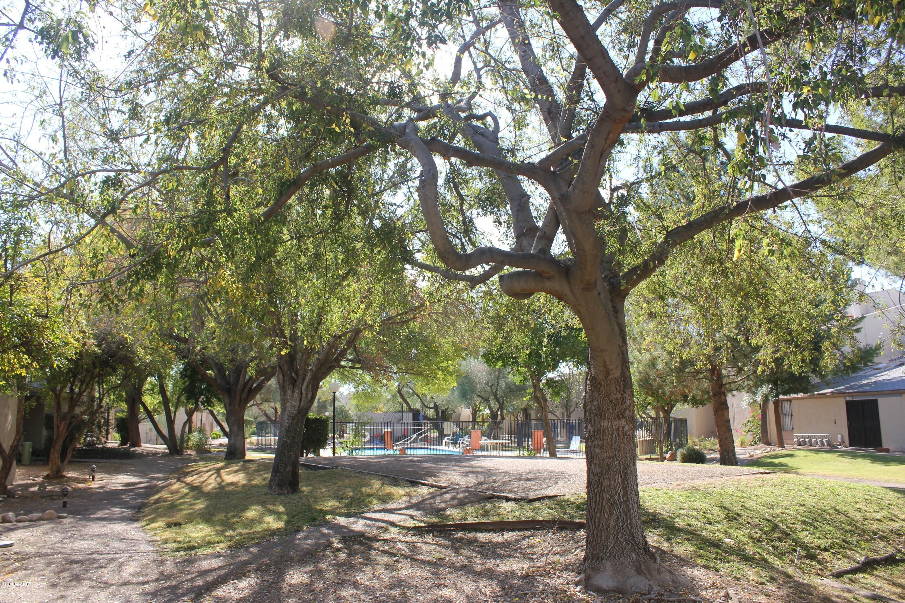 3750 North Country Club Road, Unit 27 Tucson, AZ 85716 - Photo 10 of 11