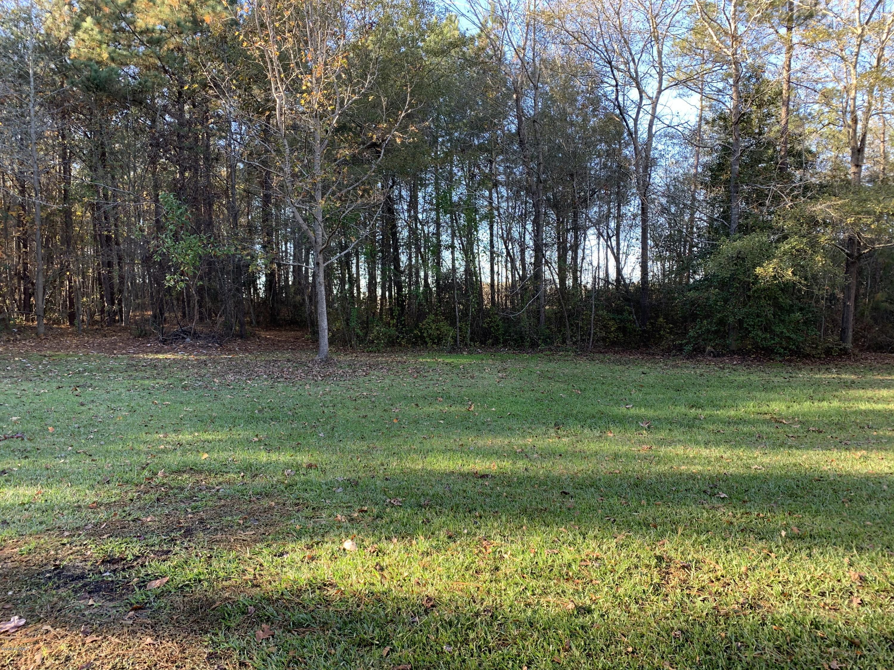 4220 Comanche Road Wilson, NC 27893 - Photo 23 of 25 Backyard