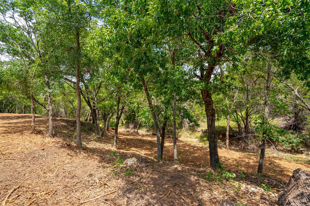 1018 Creek Crossing Road Nemo, TX 76070 - Photo 10 of 37