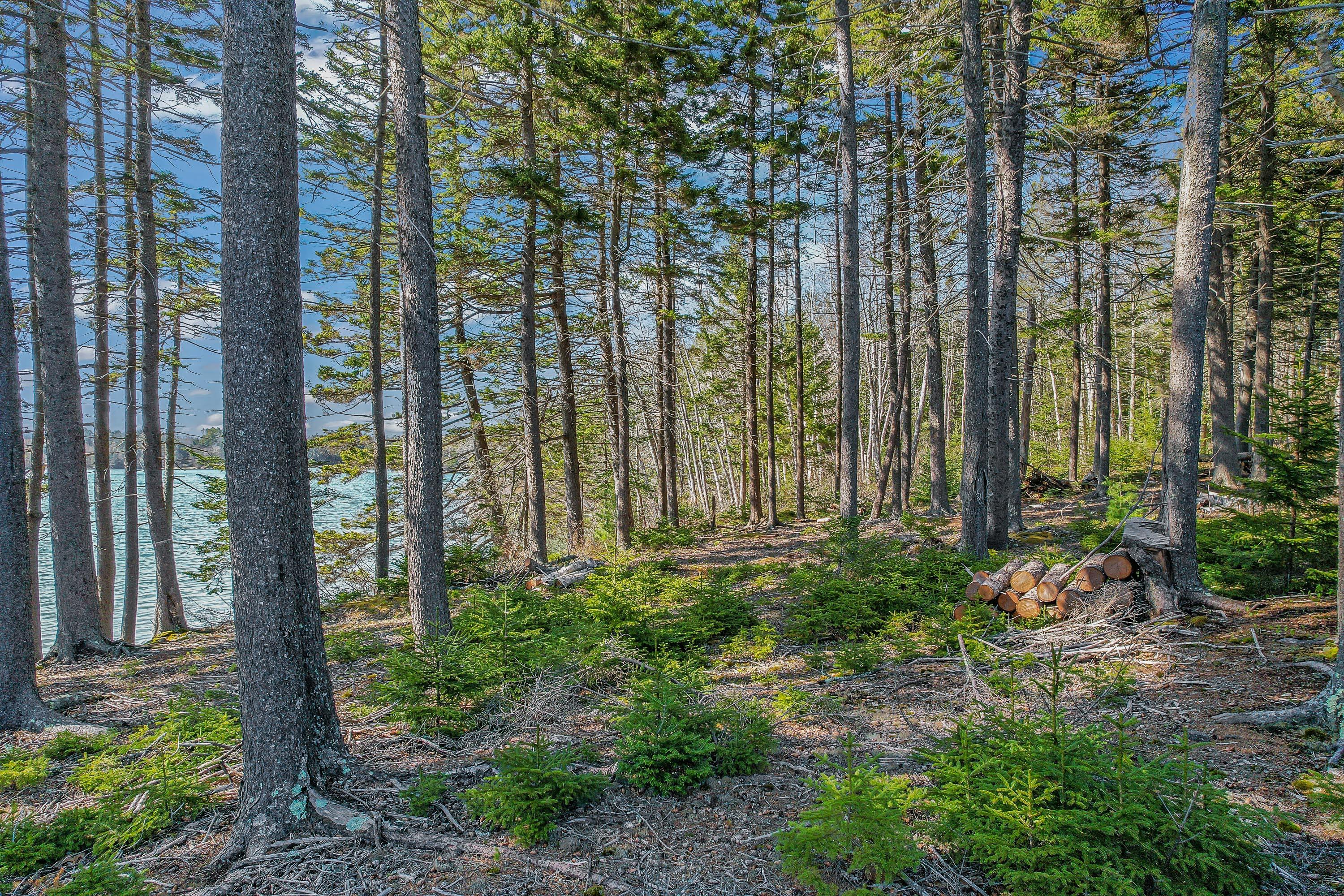 Lot 1 Ocean Ridge Road Cushing, ME 04563 - Photo 21 of 32 Lot 1 Ocean Ridge Road_126
