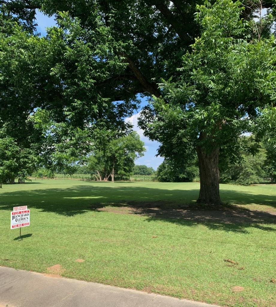 0 Warren Street Mitchell, GA 30820 - Photo 1 of 1 Main View