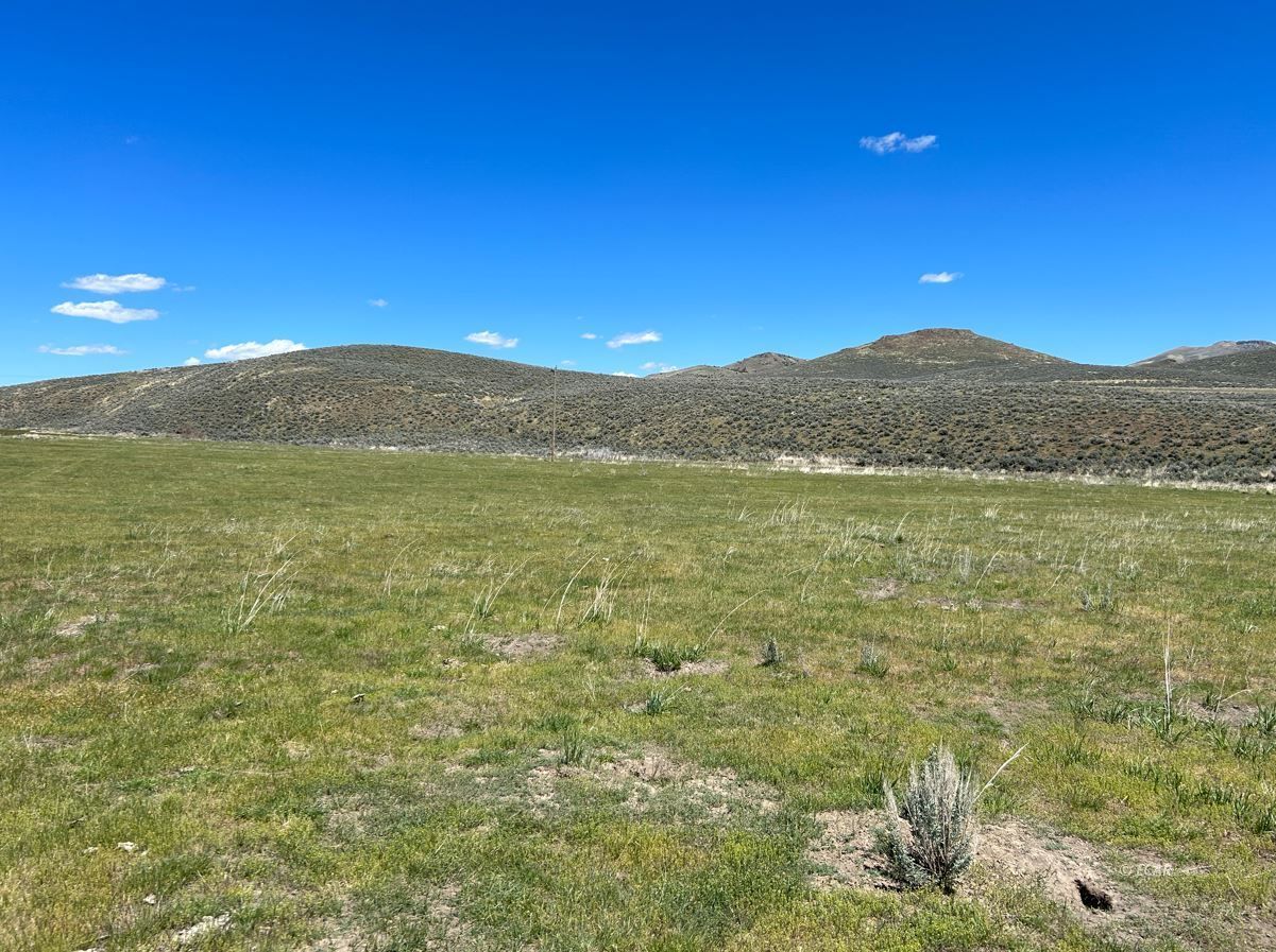752 Bar Hl Road Wells, NV 89835 - Photo 1 of 8