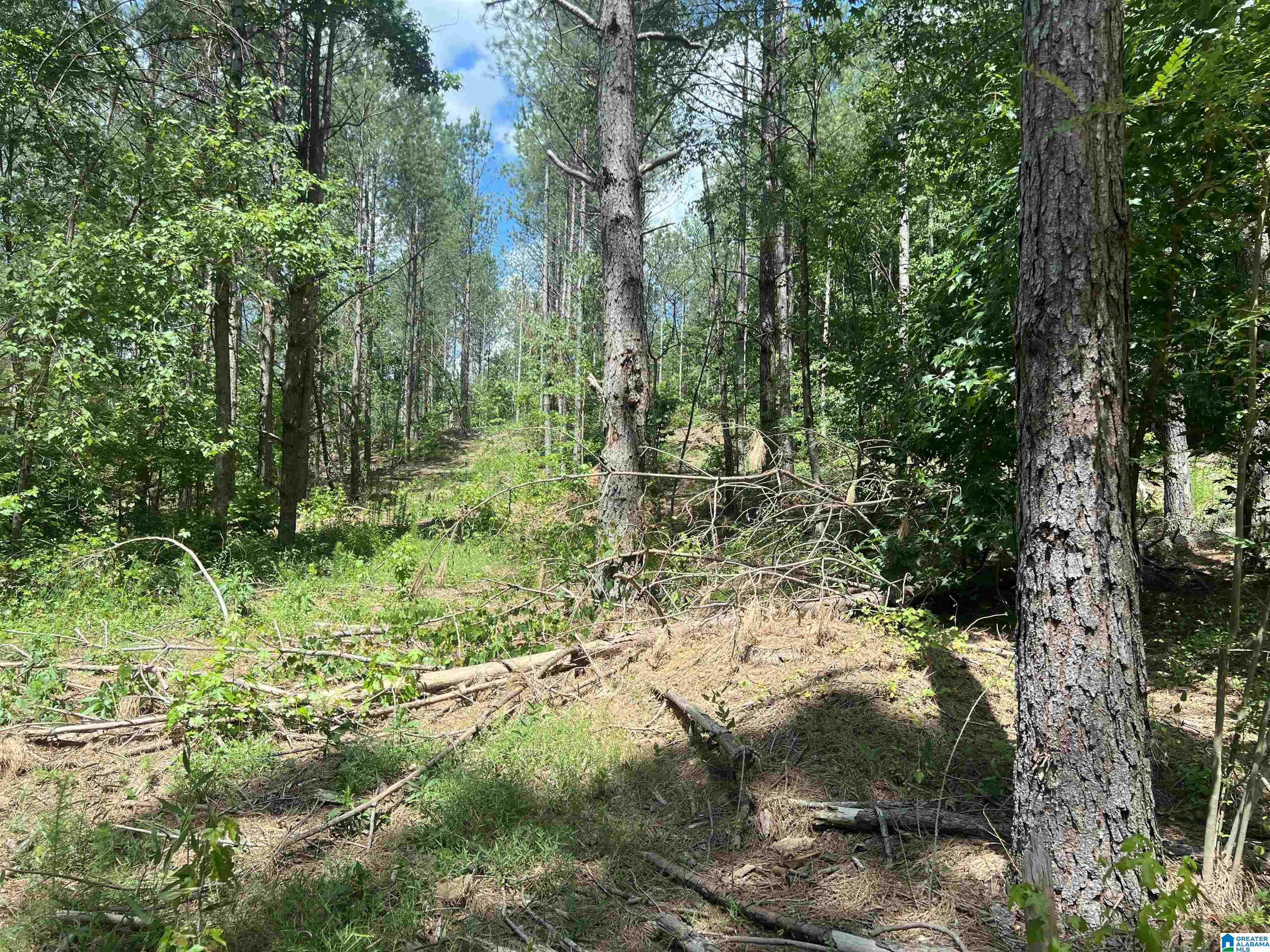 0 County Road 689, Unit 1 Ranburne, AL 36273 - Photo 22 of 69