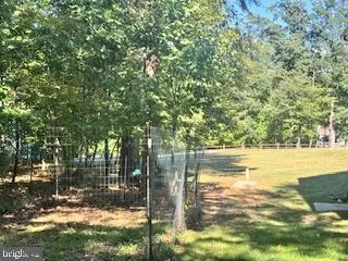 a view of a yard with trees