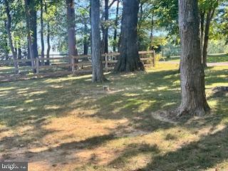 7792 Old Receiver Road Frederick, MD 21702 - Photo 38 of 51 a view of a yard with trees