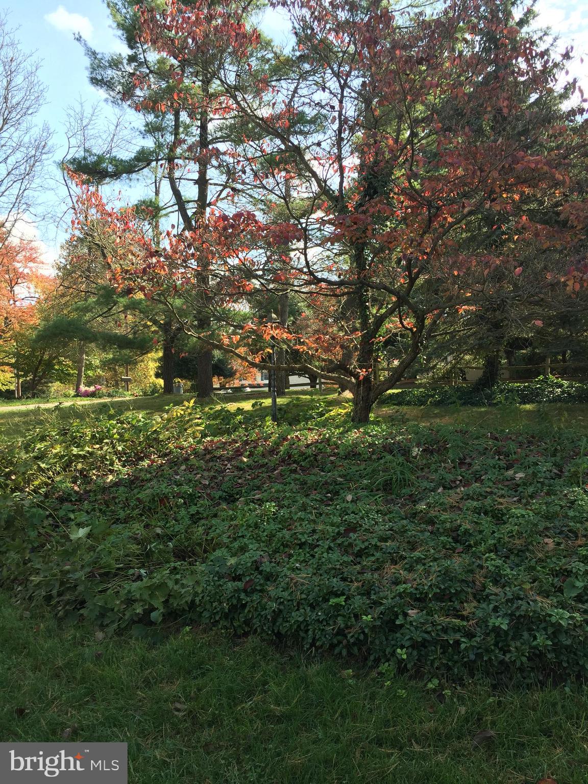 1201 Valley View Road York, PA 17403 - Photo 30 of 34 Fall photo