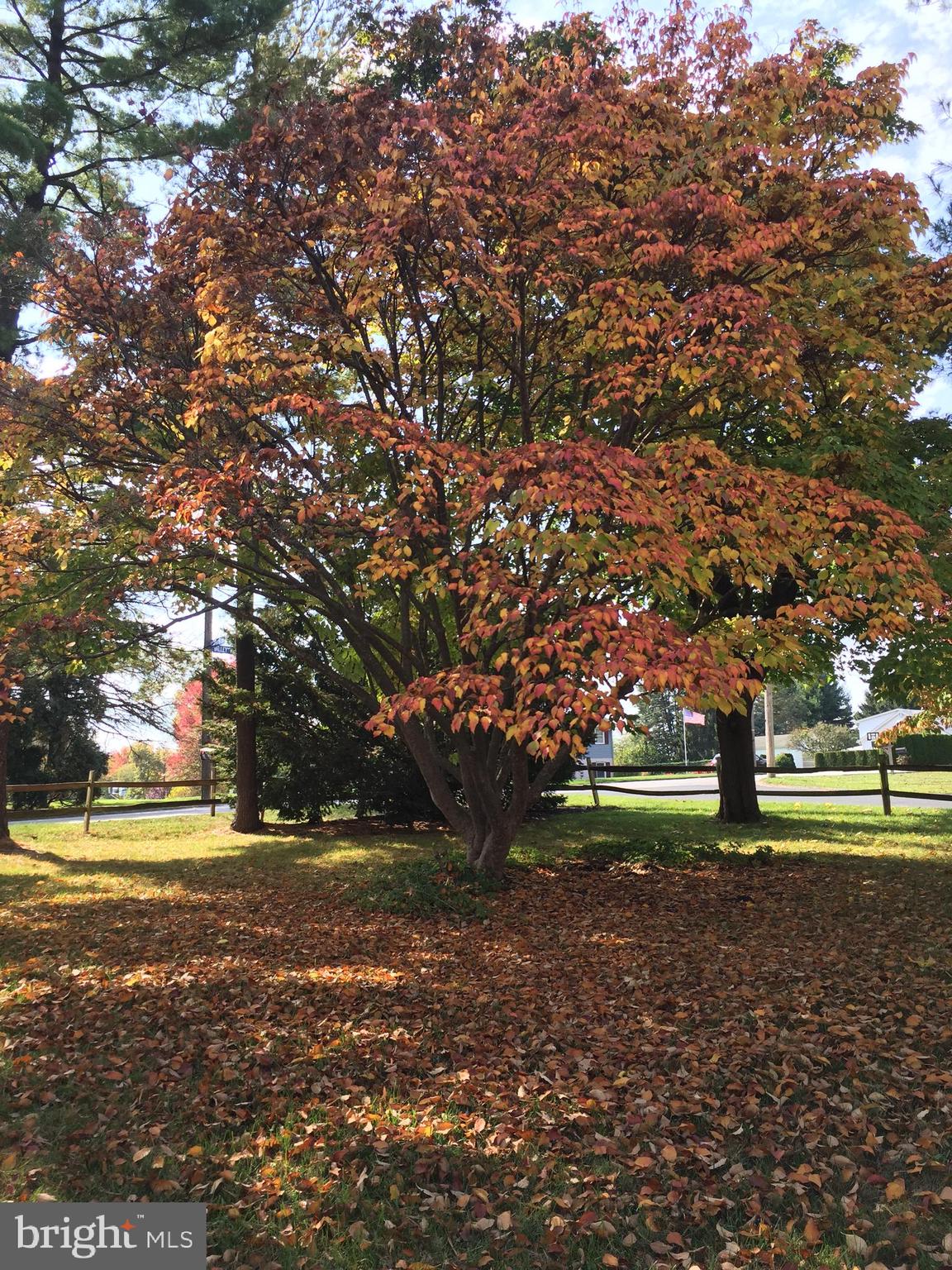 1201 Valley View Road York, PA 17403 - Photo 31 of 34 Fall photo
