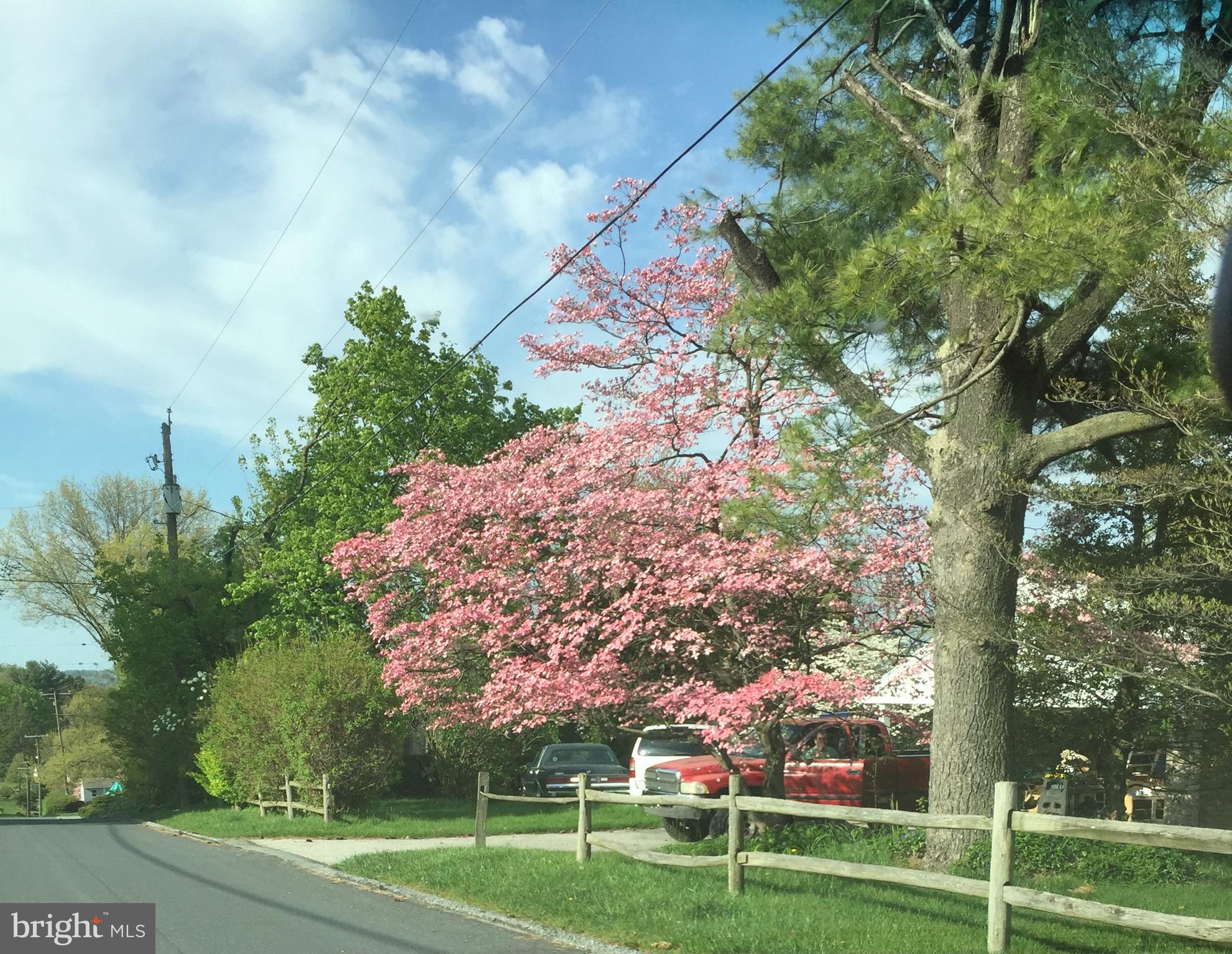 1201 Valley View Road York, PA 17403 - Photo 32 of 34 Spring photo
