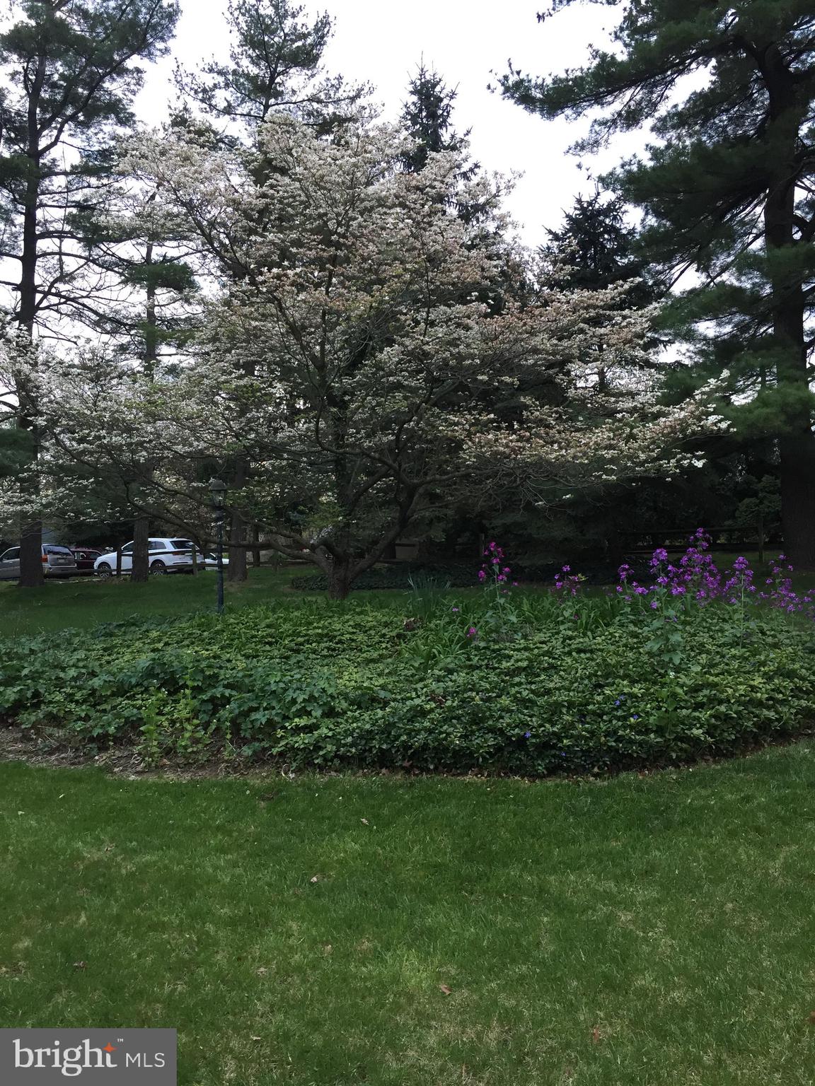 1201 Valley View Road York, PA 17403 - Photo 33 of 34 Spring photo